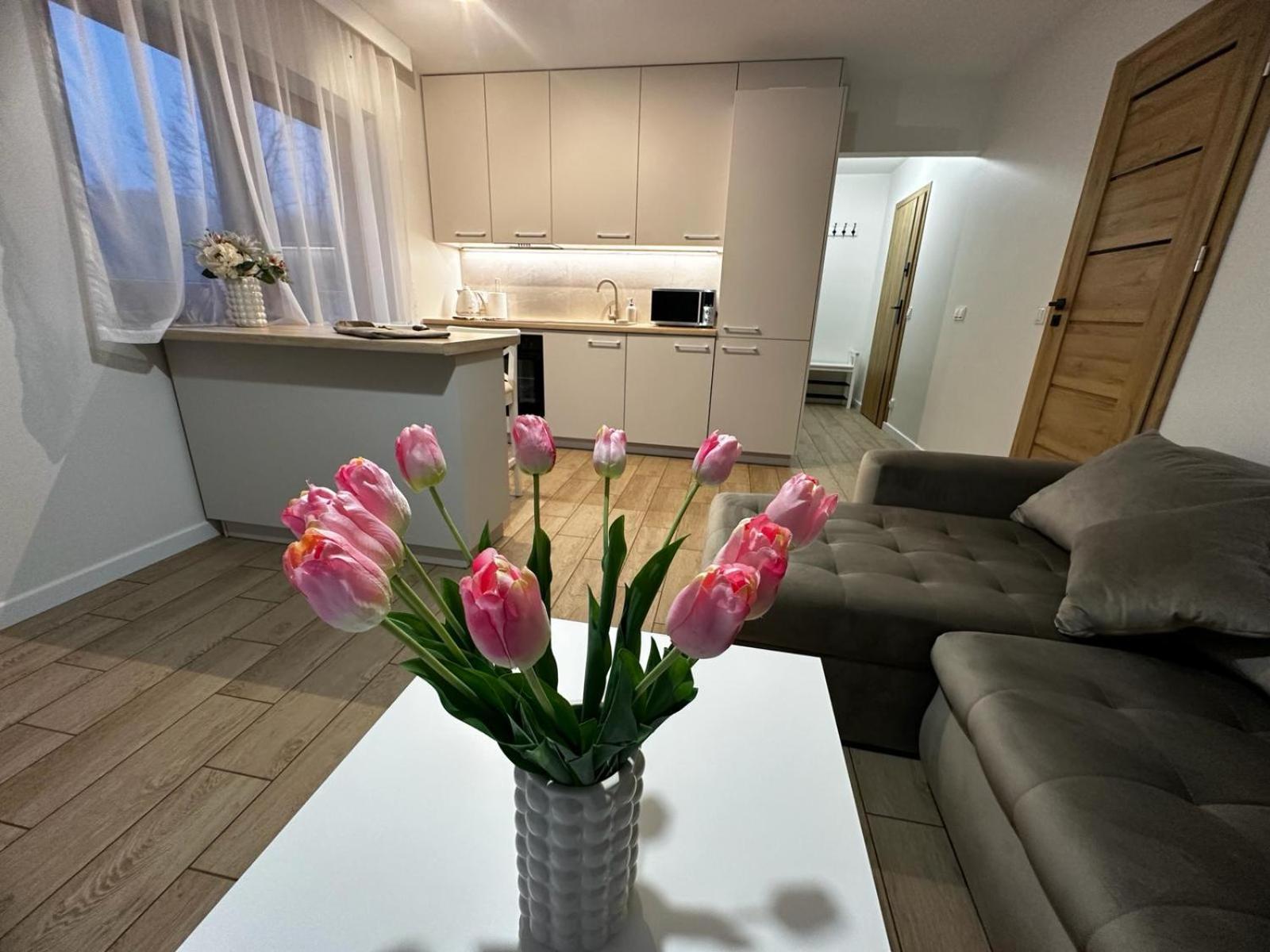 Apartamenty Biala Gran Zakopane Eksteriør bilde